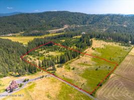 Cougar Gulch