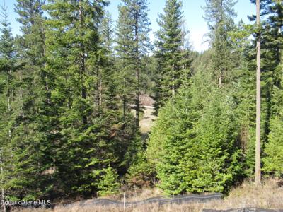 Lot 124 Bannock