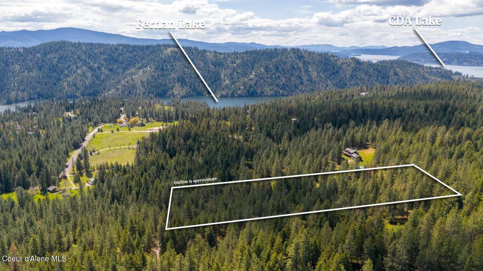 Image 2: Tatum.2