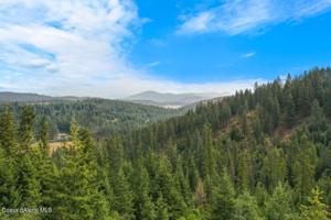 Moose Canyon Rd