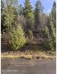 L15B1 Johnson Meadows Estates