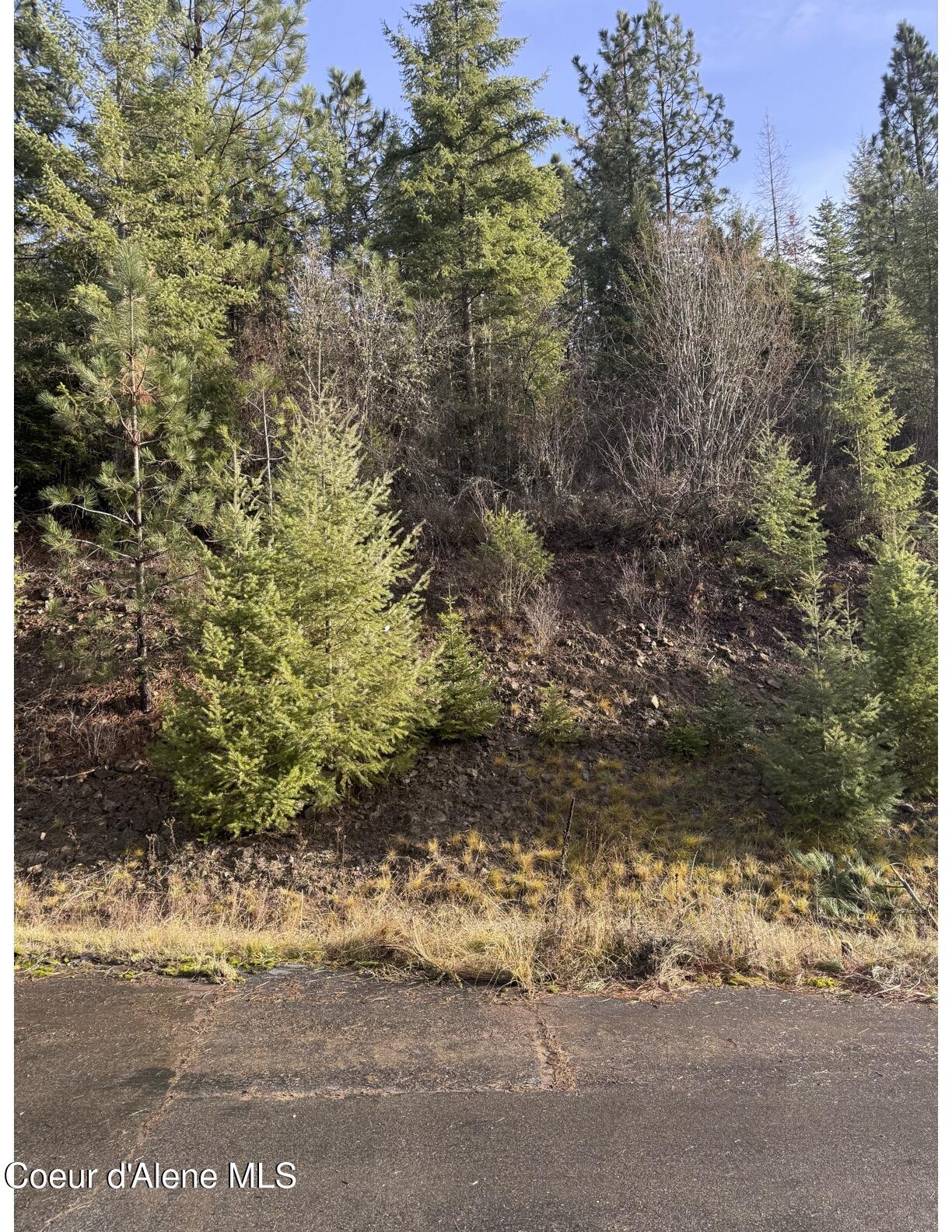 Image 1: Lot