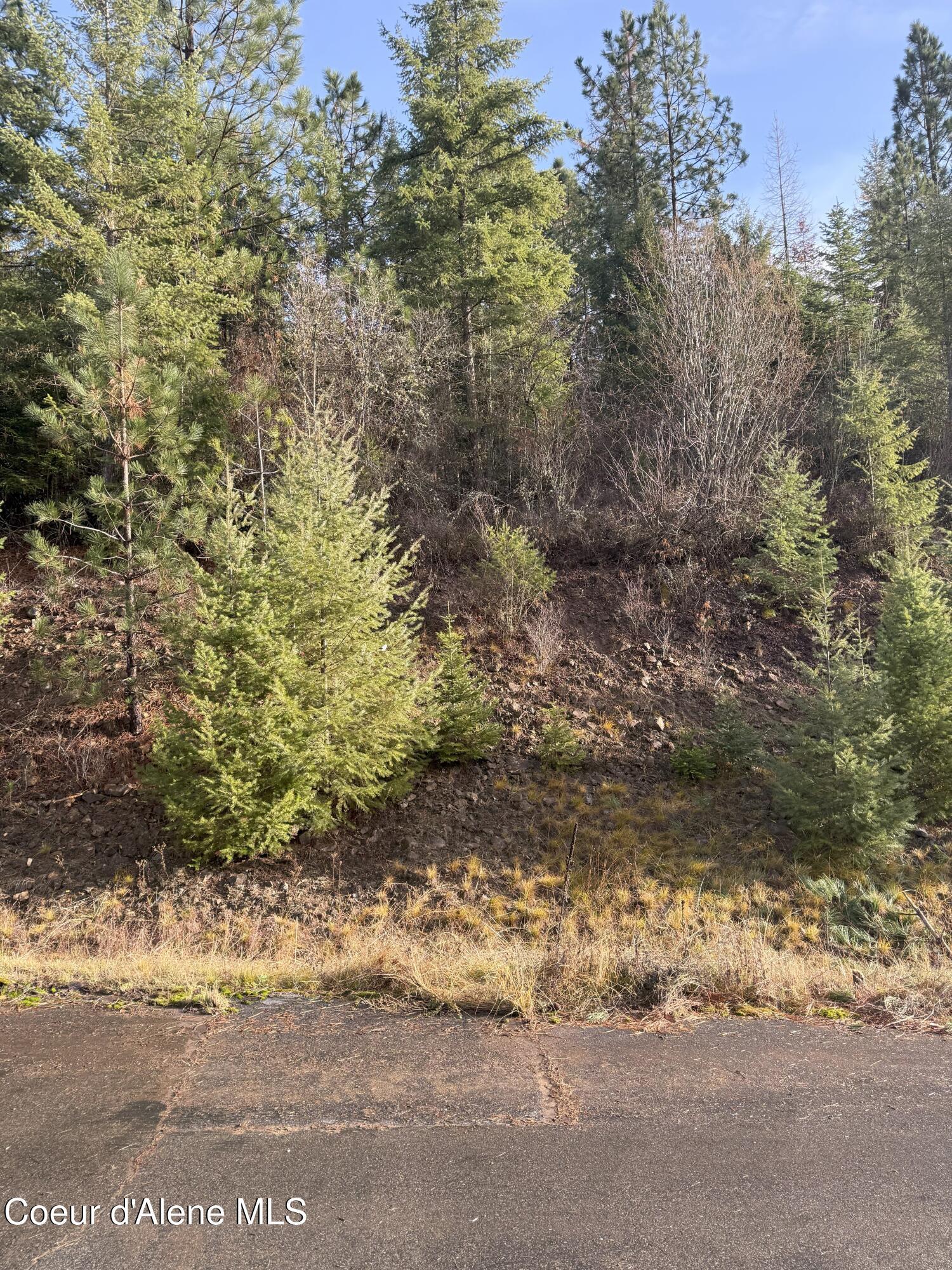 Image 3: IMG_9519