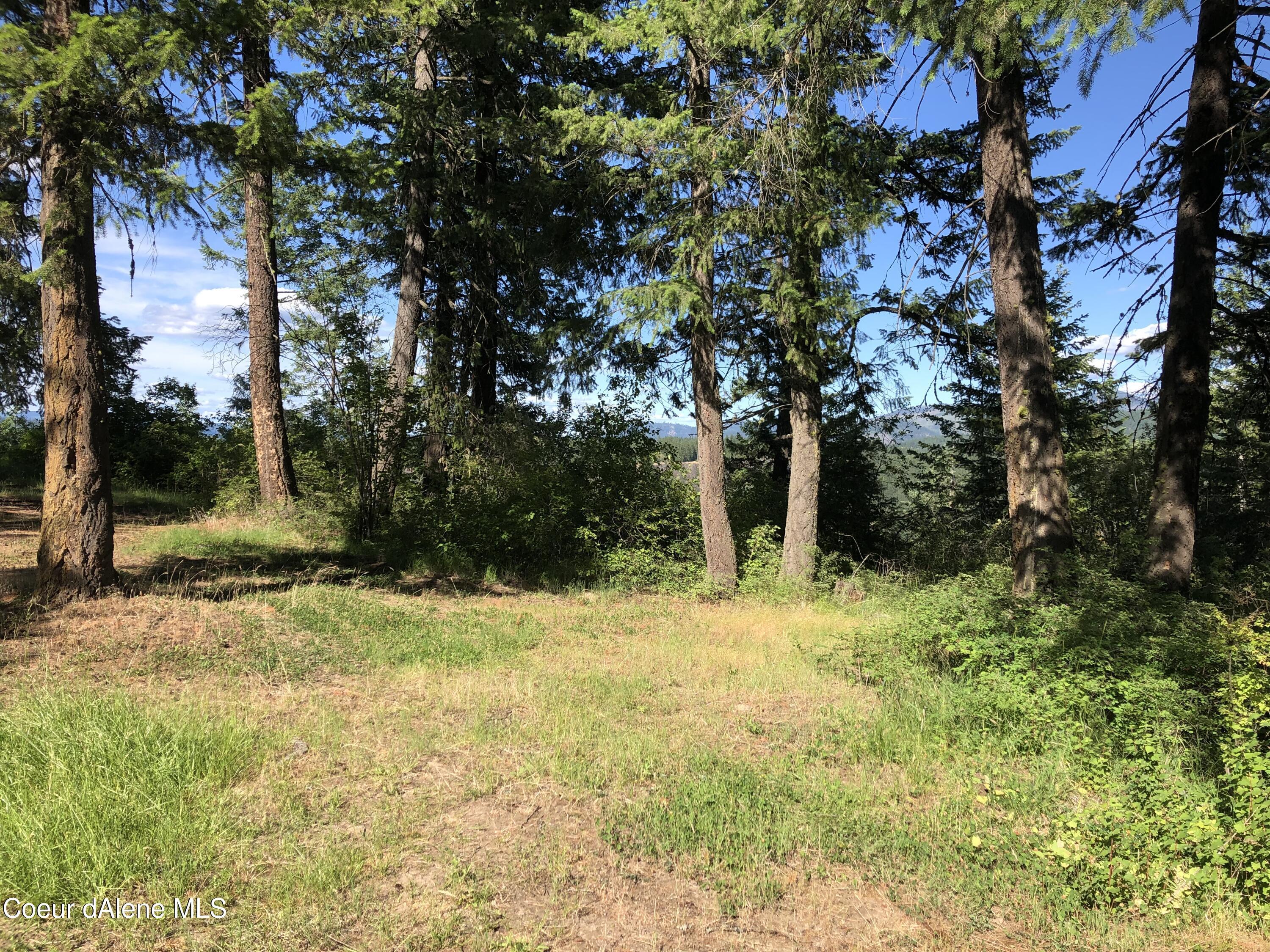 Image 3: Property view