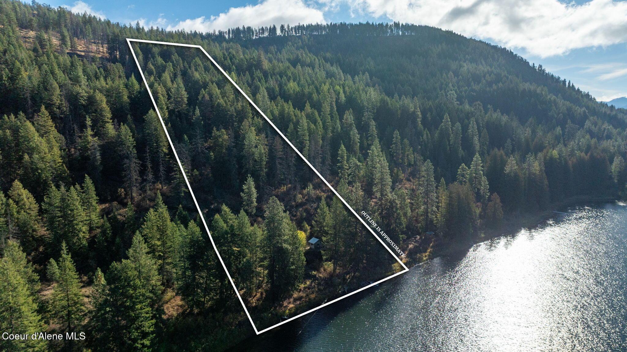 Image 2: Trees and Water