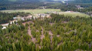 40 acres Priest Lake