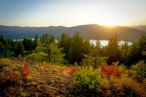 NNA Overlook View Road