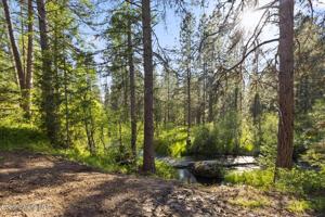 Hidden Creek