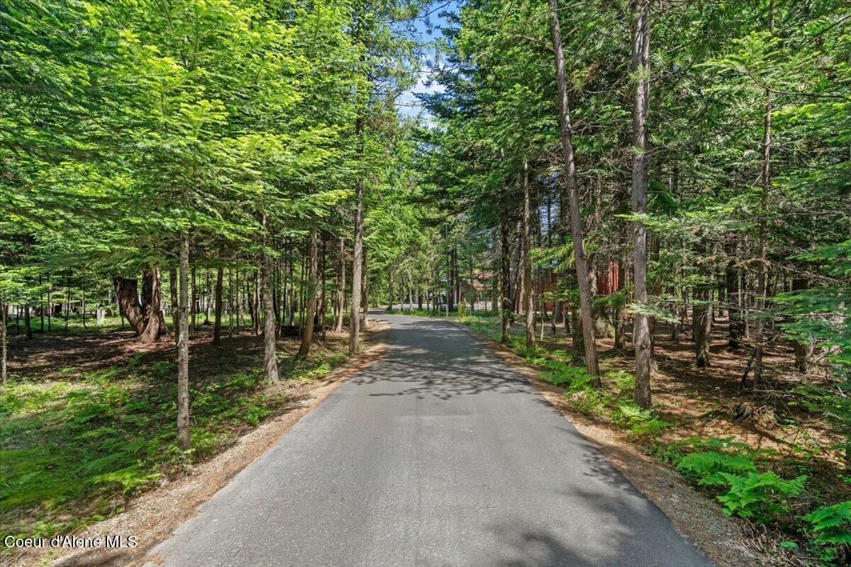 Image 3: 77-Driveway