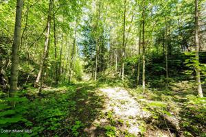 NNA Wildwood Lane Lot 3