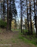 Crows Nest Road