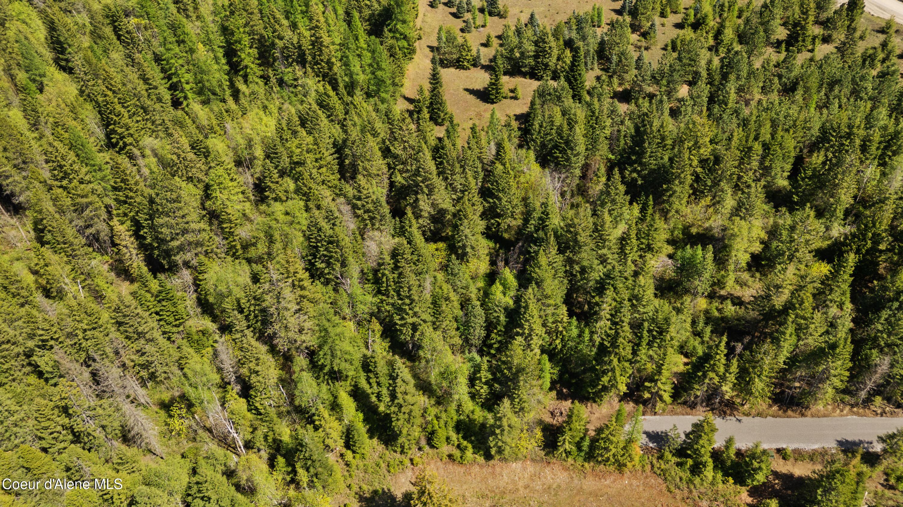 Image 4: SunsetterLane (5)