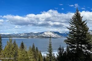 205 Mountain Lake Vista