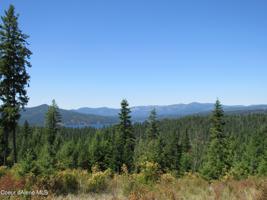 Lot 139 S Buckrail Road