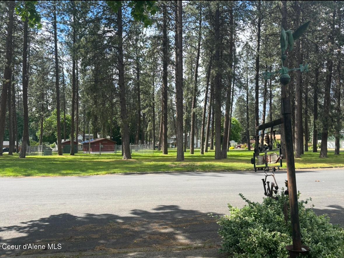 Image 3: Park across street