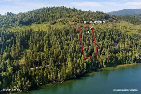 10 Lakeshore