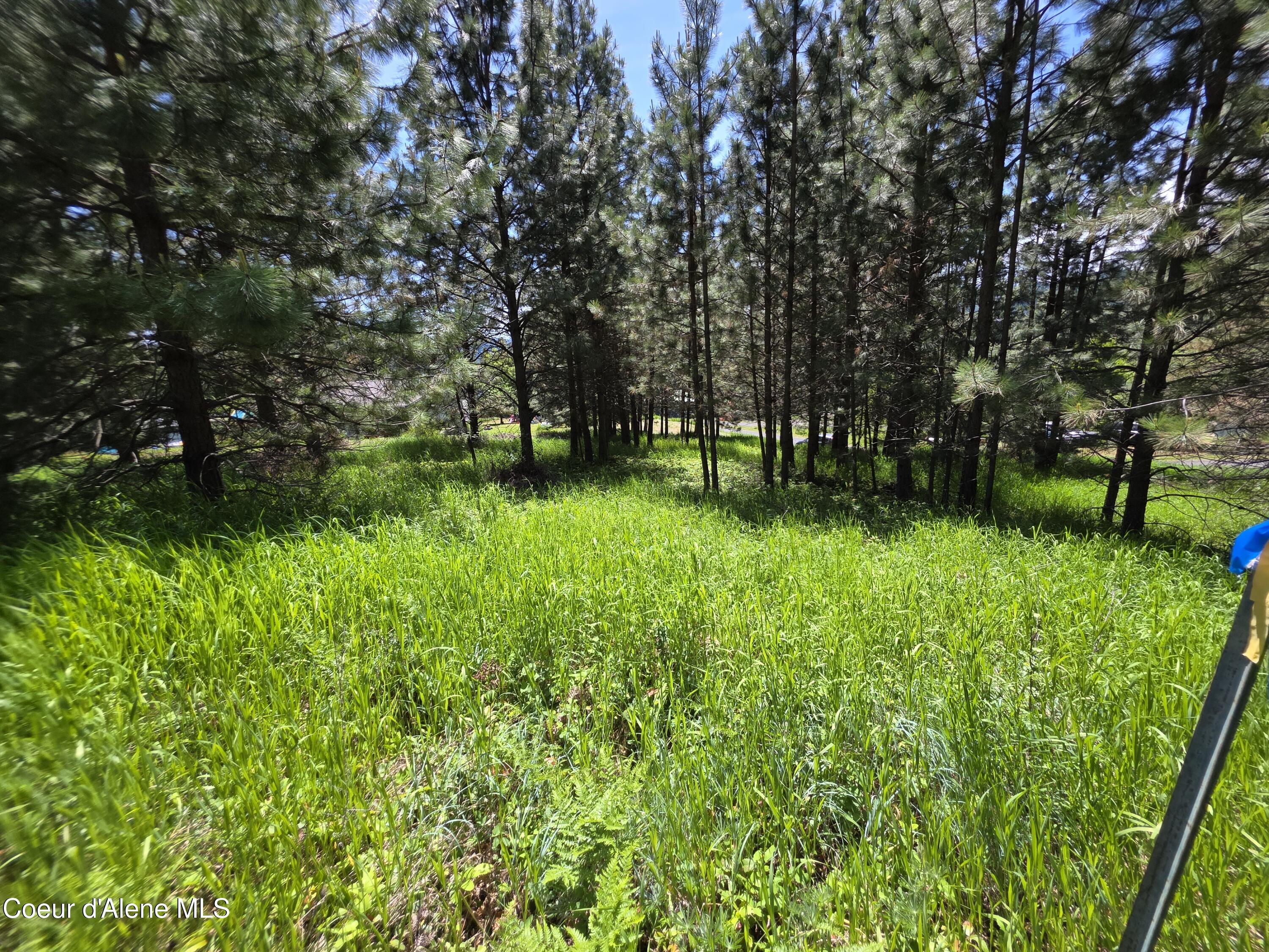 Image 1: Westview