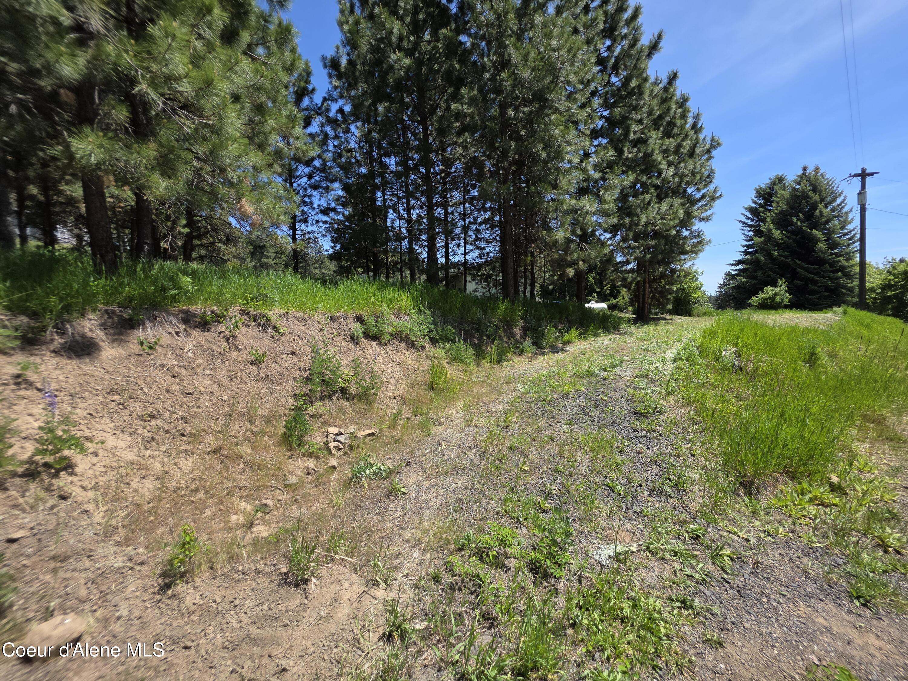 Image 3: 20250527_130105