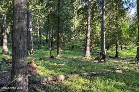 NNA Deer Ridge