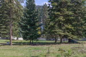 29704 Bella Vista Rd
