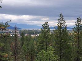 NKA Woodland Dr. (15 Acres)