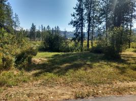 507 Hornby Pl (Lot 16)