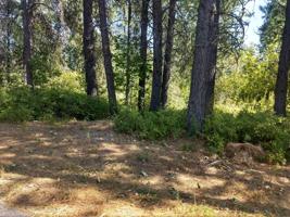 501 Hornby Pl (Lot 19)