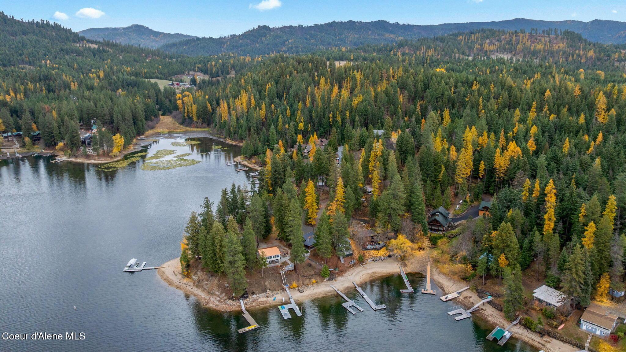 Image 4: Hayden Lake Frontage & Dock
