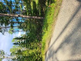 NNA Ponderesa Ranch Rd