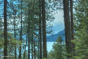 3 East Shore