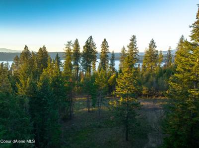 14236 Hayden Lake