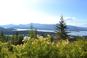 Lot 2A 5 Acres Forever View Rd