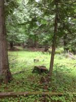 3794 S Elk Rd