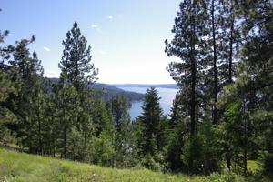 Lot 123 Hanson Rd