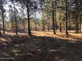 Lot 2 E CHALLENGE RD