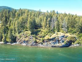 19 Shoreline