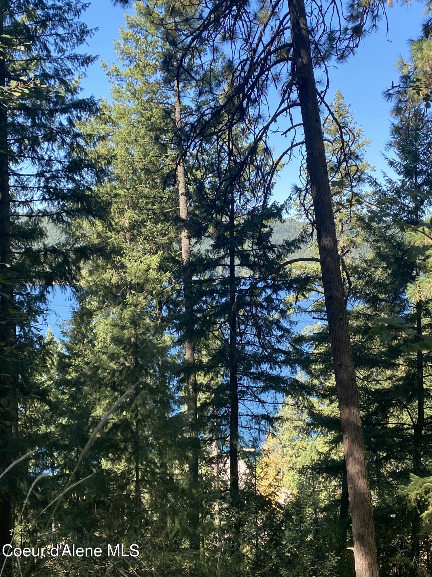 Image 4: Acreage