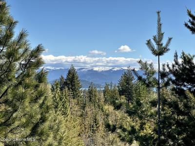 124 Conifer Trl