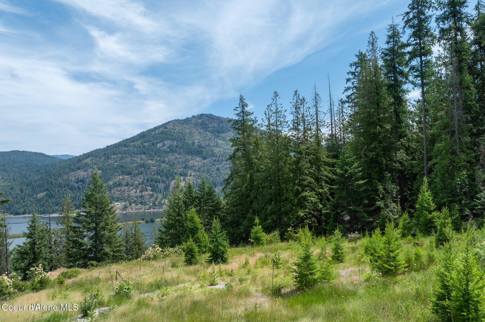 Image 3: RealVue - 2025 0620 - 161 Finch Trail-14