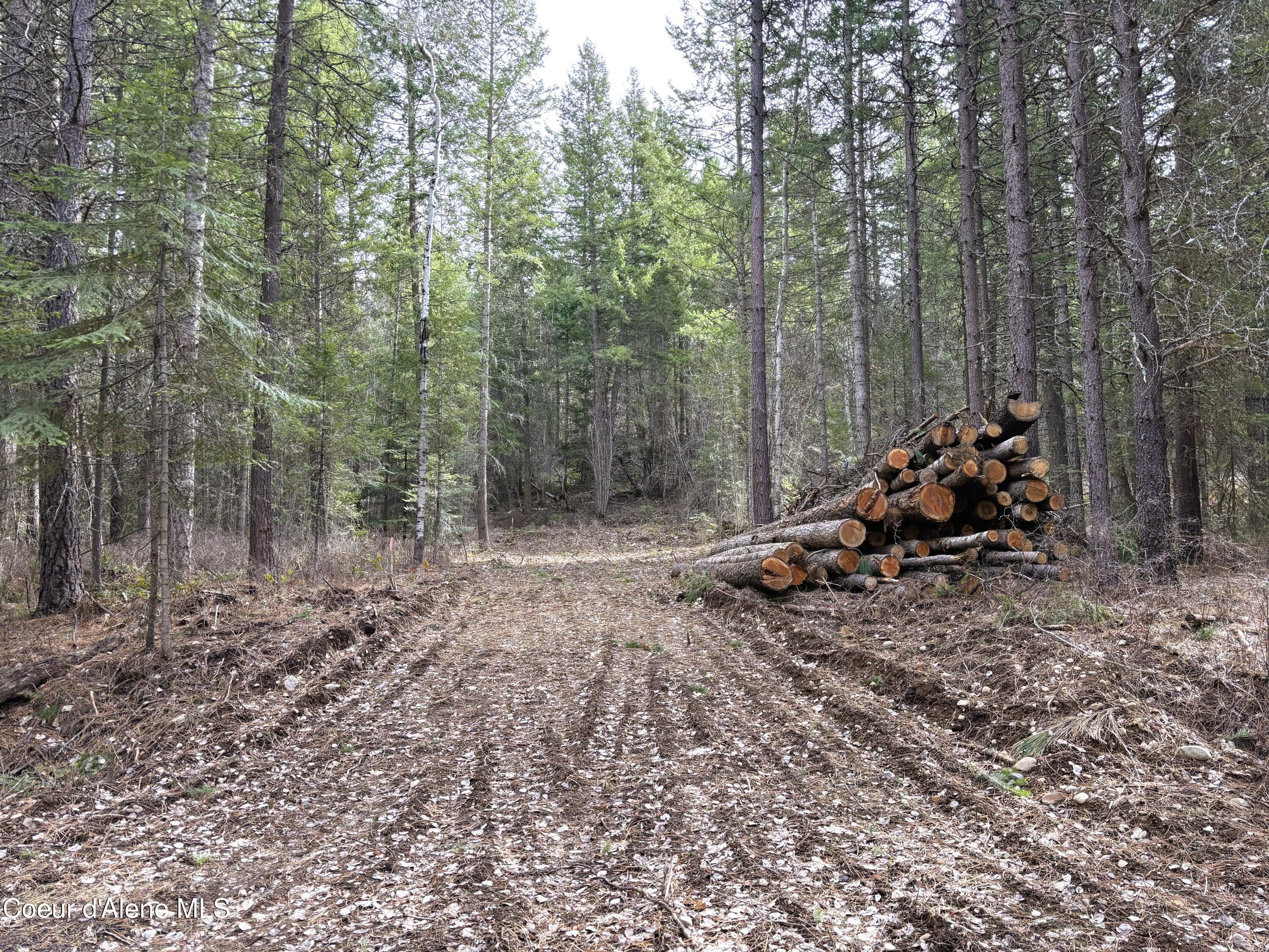 Image 3: 30 foot easement