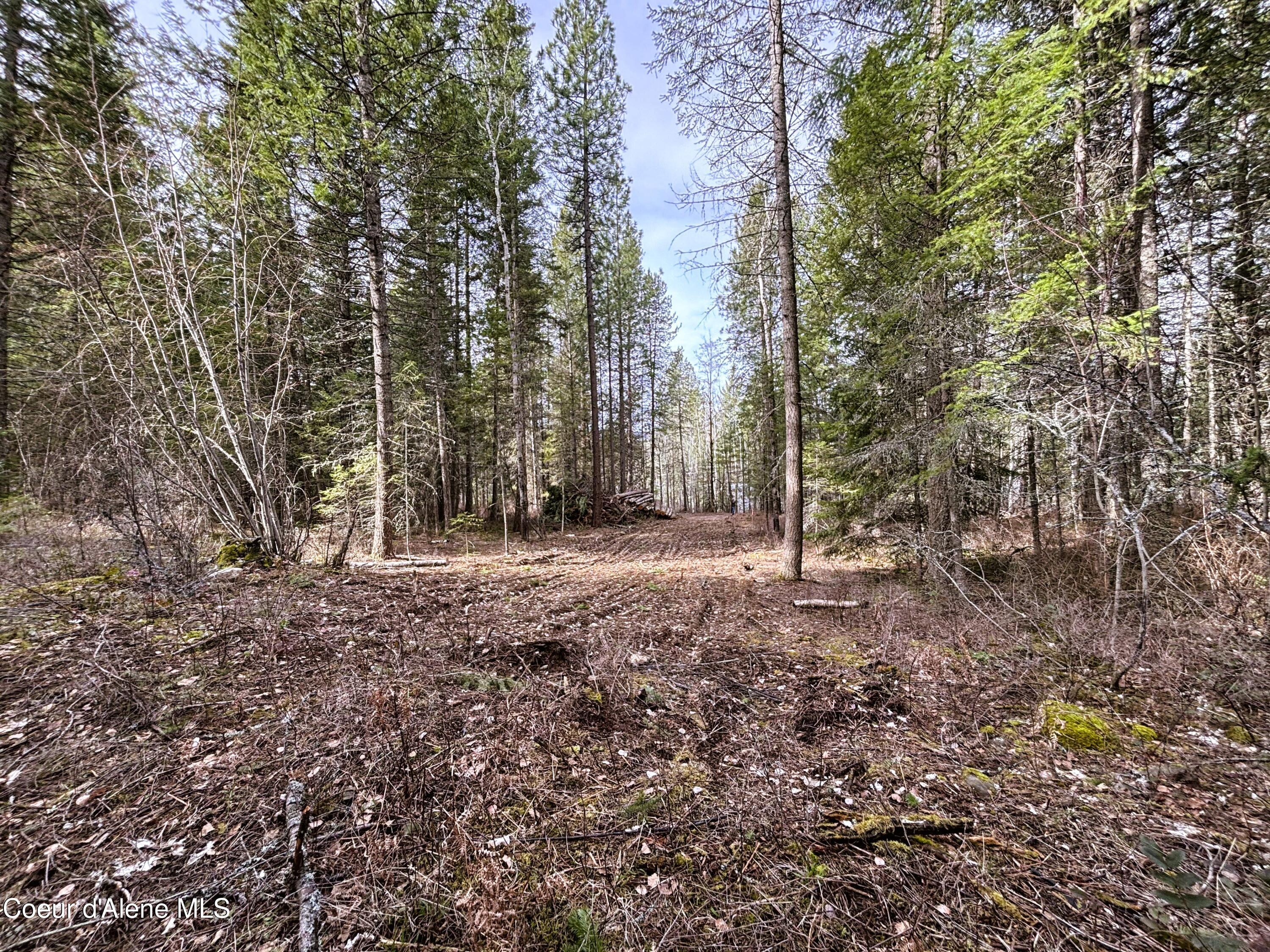 Image 4: Driveway easement