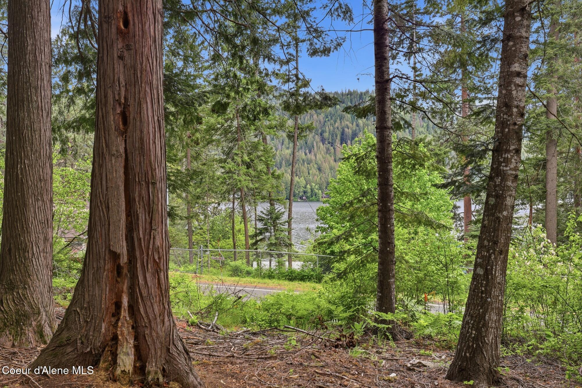 Image 3: 43_8993 w twin lakes rd