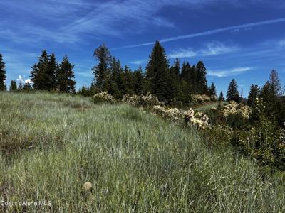 NKA ASBURY (194 Acres)