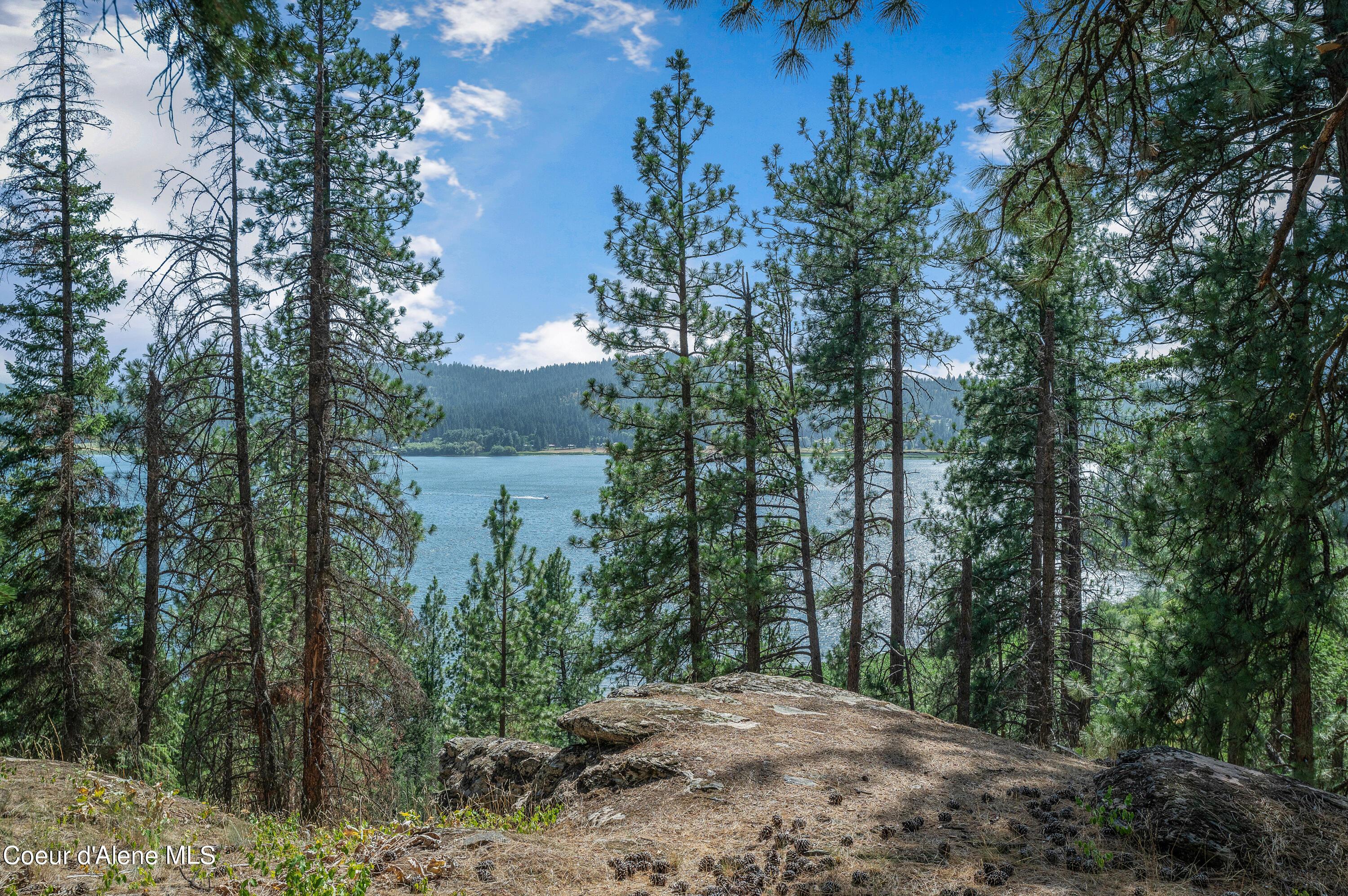 Image 2: --20.jpg-FULL