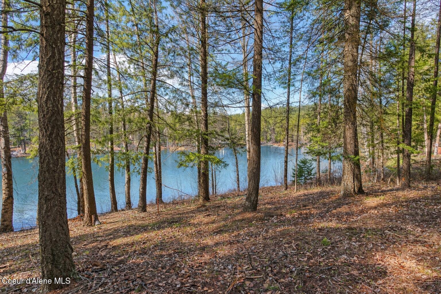 Image 1: Waterfront Lot