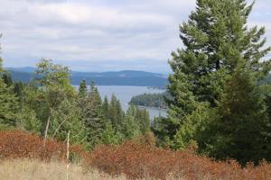Lot 3 E Half Round Bay Rd