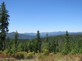 Lot 139 Buckrail Road
