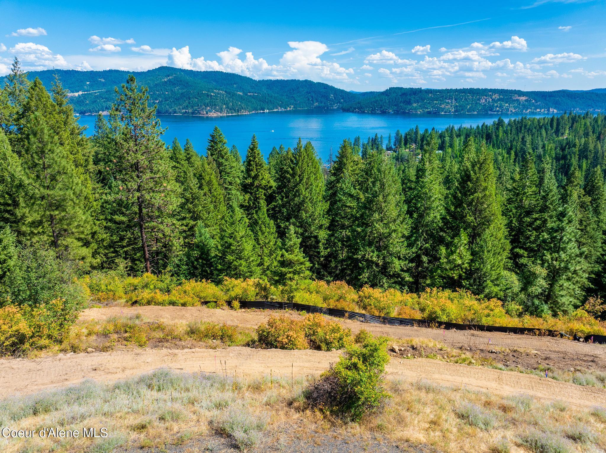 Image 1: DJI_20250730060619_0913_D-HDR