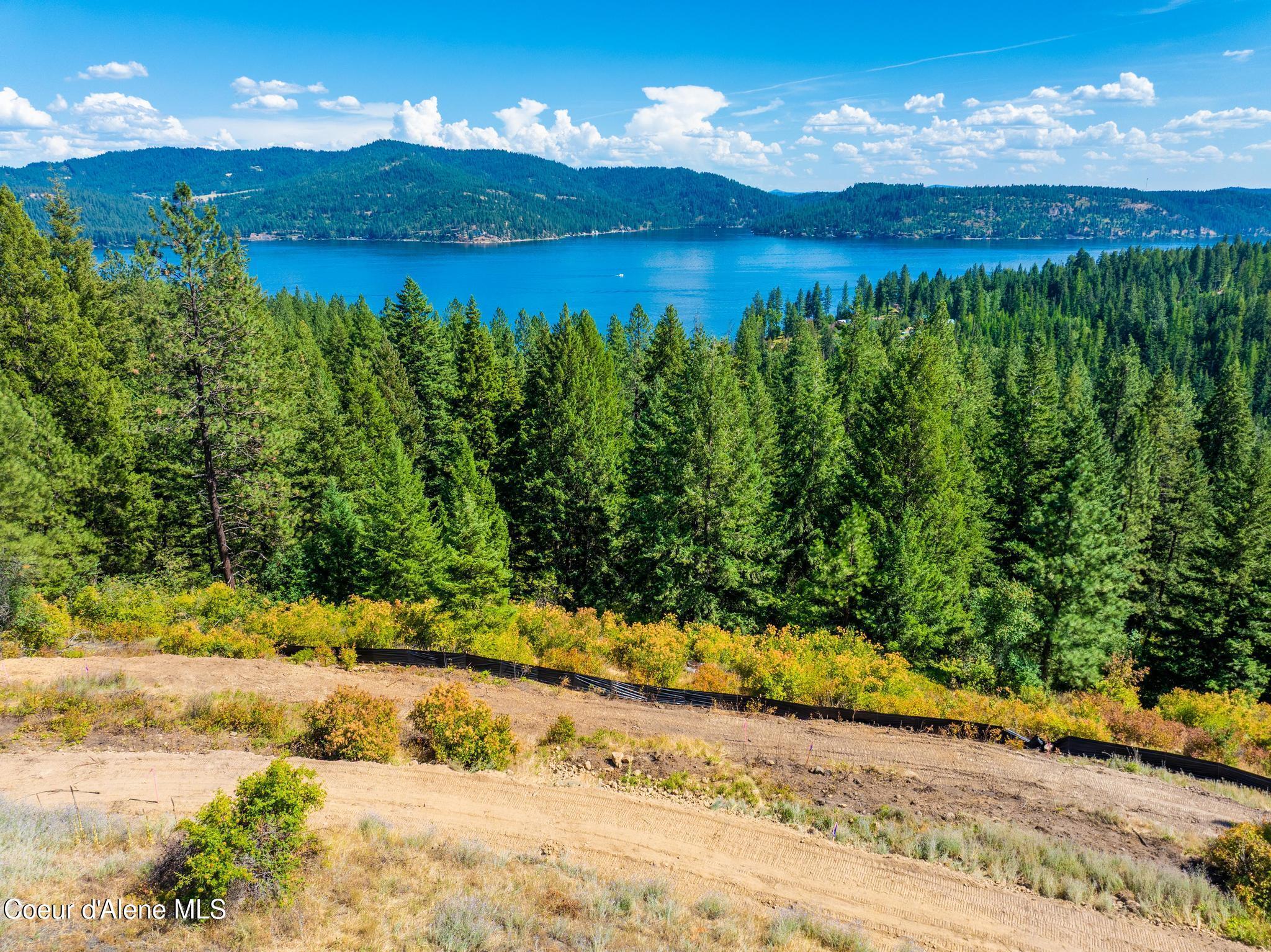Image 2: DJI_20250730060627_0918_D-HDR