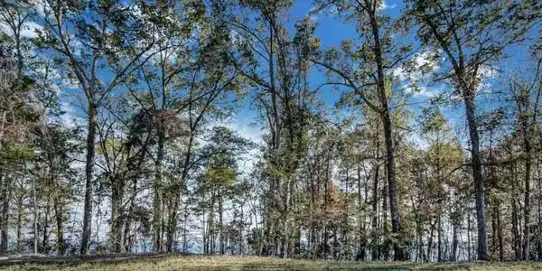 Lot 766 NORTH NATCHEZ DR